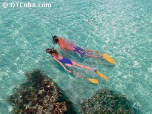 Cayo Ensenachos. Buceo.