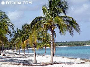 Playa de Villa María La Gorda, Pinar del Río