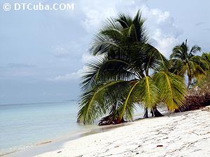 Cayo Levisa. Playa.